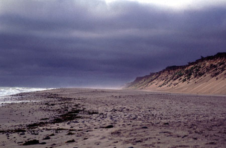 Sand Dune 3
